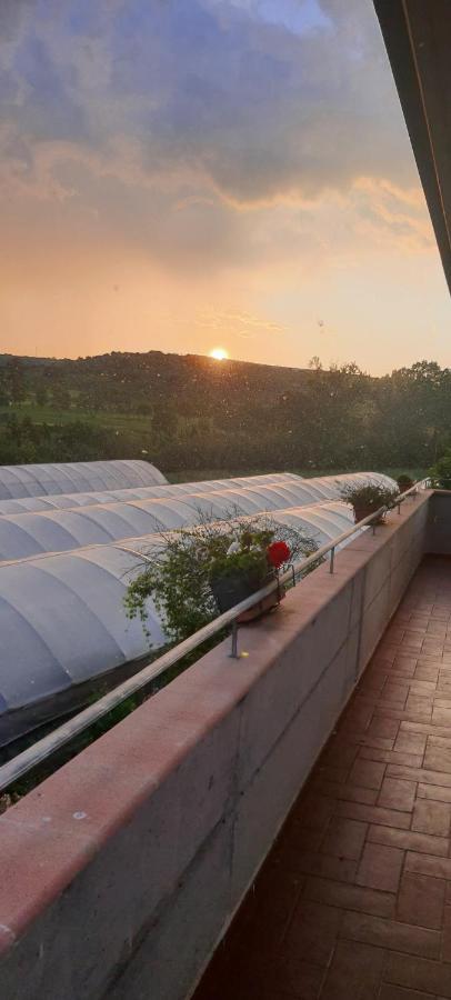 Miglianico Casa Vacanze Cerreto 3 מראה חיצוני תמונה