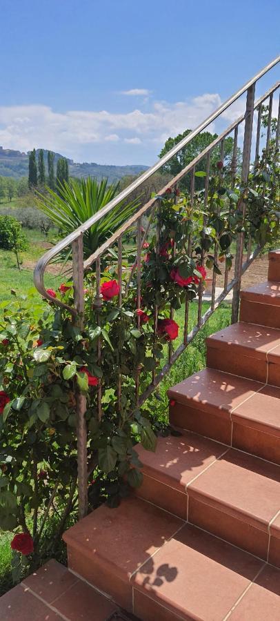 Miglianico Casa Vacanze Cerreto 3 מראה חיצוני תמונה